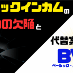 ベーシックインカムの4つの欠陥と、代替案としてのBVI